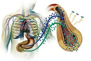 Daño al páncreas en la diabetes mellitus