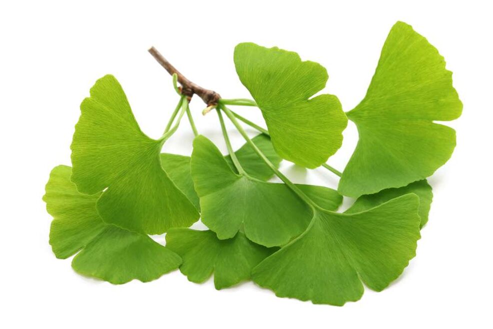 gingko biloba en cápsulas Glucoren